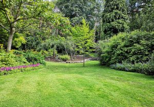 Optimiser l'expérience du jardin à Saint-Hilaire-des-Loges